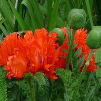 Une maison dans le pays de Broceliande pour des vacances en famille