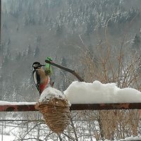 La maison de Mary : Pas de disponibilités cet été.