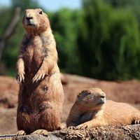 La maison de Guillaume