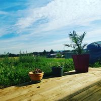 La maison de Marianne