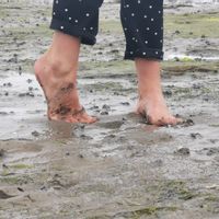 appartement près du centre de Lausanne
