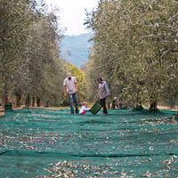 Il Giardino del Codirosso No GP / only from November till March