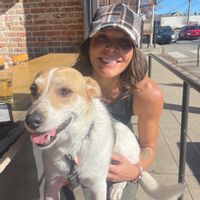 La maison de Shelley