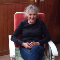 Une pause dans les bois