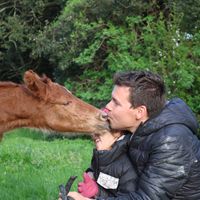 Maison dans domaine équestre, Carcassonne
