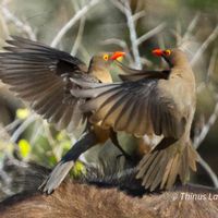 Spacious house in the Cape Winelands, 15km outside the historic town of Stellenbosch. SOLAR POWERED