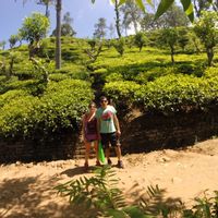 La maison de ARMANDO