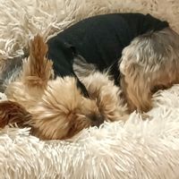 La maison de maria, Ismael, nair, ilan.tiffany