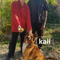 La nature proche de Montpellier