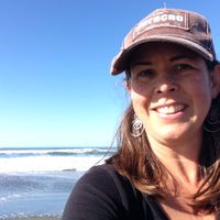 Cozy Arcata Home - Walk to Downtown, Cal-Poly Humboldt and Redwood Forests.
