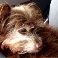 La maison de Valérie