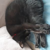 l'Auvergne vous tente ! Contactez nous