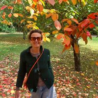 Casa in pietra vista bosco