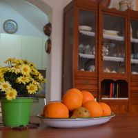 salvatore's house