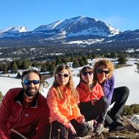 La maison bois de Bland et Oliv