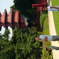 House in  a 5 hectares olive plantation