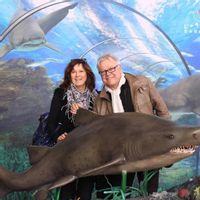 Belle villa du sud de la France avec piscine