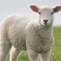 La maison de Yucheng