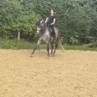 House near Disneyland ( 3 km) and Paris