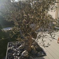 La maison de Barbara