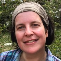 Un nid dans le Marais