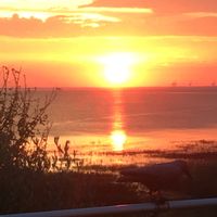 Maison Côte de Beauté