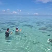 Anne -Laureina kuća