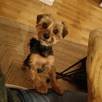 La maison de Lorenzo & Jole