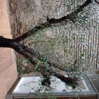 La maison d'Elo et Seb