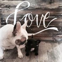 La maison de Sandrine