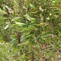 Cosy house close to the Legoland