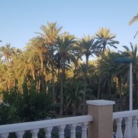 Ivan's house