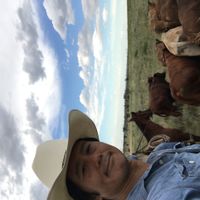 Mountain top spring fed glacial lake house.  Next to National park