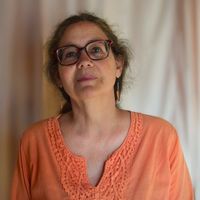 Sunny Apartment with Goats on Main Street of New England Village