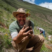 Dom u Ollantaytambo