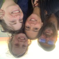 La petite mouette égarée