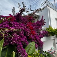 La maison de LEONARDO