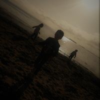 La maison de Yoann et Vanessa. Petite maison cosy et confortable au cœur du Golfe du Morbihan.