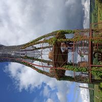 Studio au coeur des vignes de Champagne