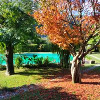 Maison Manuel da Fraga