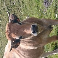 La grange de Marie et Jérôme