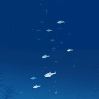 Francisco Josés hus