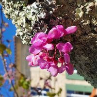 Maison de charme  au calme avec grande terrasse et piscine chauffée en été.