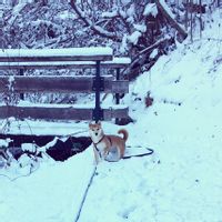 La maison de Thibault et Ophélie