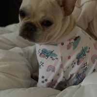 La maison de Heather