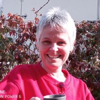 Au coeur de la Touraine, des châteaux de la Loire et de la route des vins