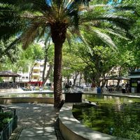 L'appart' de Sarah, Romain et Basile