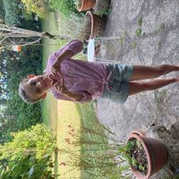 Anais's house