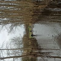 La maison d' Etienne