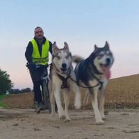 Longère du XIXème siècle, rénovée et au calme